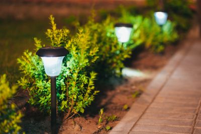 Landscape Lighting Installation