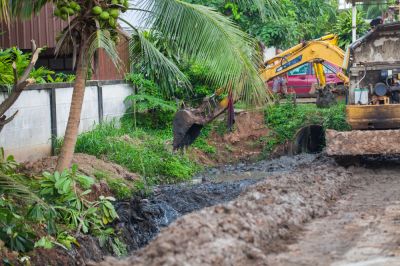 Landscape Repair