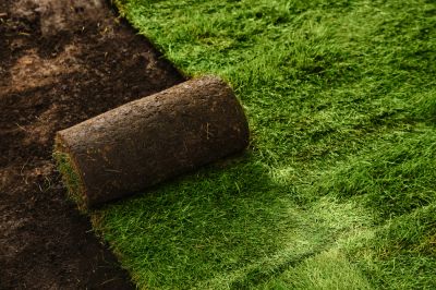 Lawn Resodding Service