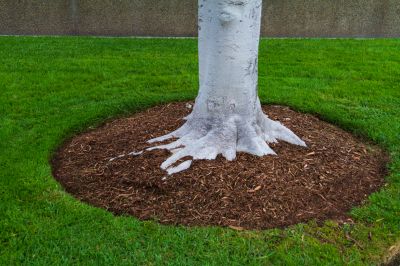 Moisture Retention