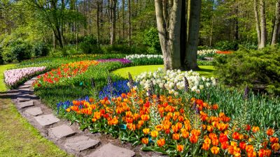 Spring Landscaping