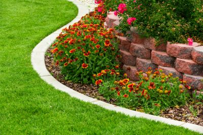 Yard Edging Service