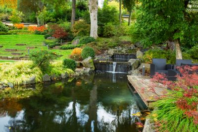 Waterfall Installers