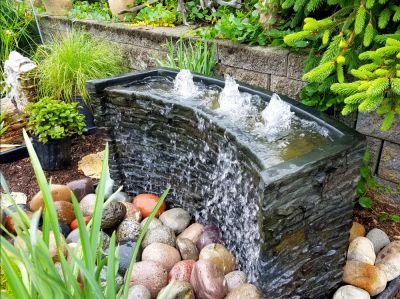 Improve the Health of Your Water Feature with Cleaning!