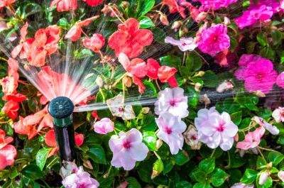Get an Irrigation System Installed To Ensure a Beautiful Bloom