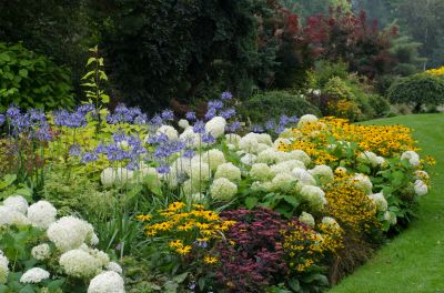 Perennial Watering