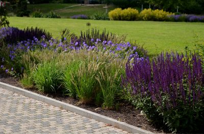 Improve Soil Temperature Regulation!